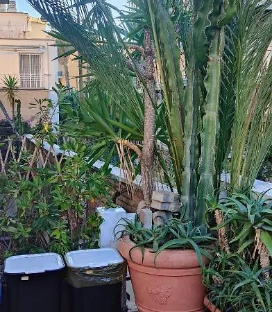 Ca'del Pescatore Tatil Evi Sanremo